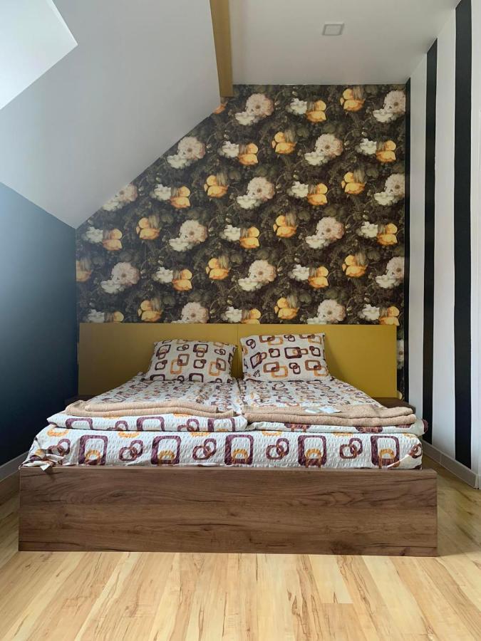 Trakia Street Apartment 普罗夫迪夫 外观 照片